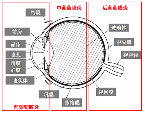 圖片81.jpg