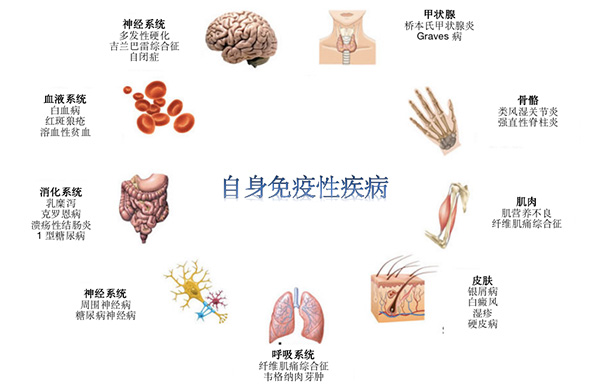 圖片84.jpg